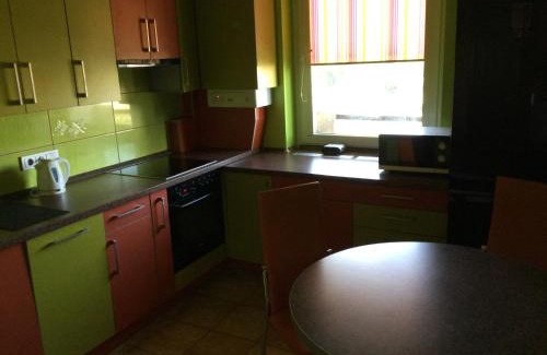 Vilnius County Apartment | 2 Kambariu butas.Apartments-in the city UKMERGE.