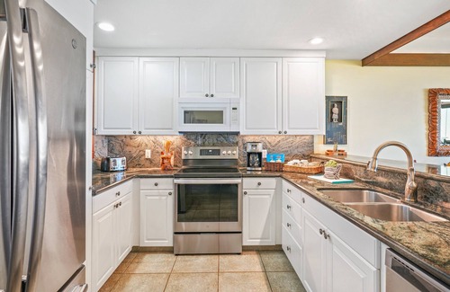 Wailua Condo | 2 King Suites | Oceanfront Lanai | BBQ | Free Parking + Wi-Fi