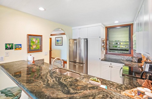 Wailua Condo | 2 King Suites | Oceanfront Lanai | BBQ | Free Parking + Wi-Fi