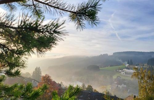 Schonach im Schwarzwald Apartment | 2 Mauntain view apartments