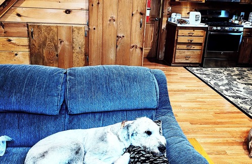 Standish Cabin | 2 Mi to Marina & Beach: Frye Island Retreat!