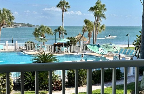 Pinellas Point House | 2 Modern Retreat Near Maximo Park & Downtown Dining Scene - Fort De Soto Nearby