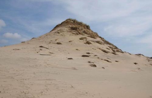 Skagen Apartment | 2 person holiday home in Skagen-By Traum