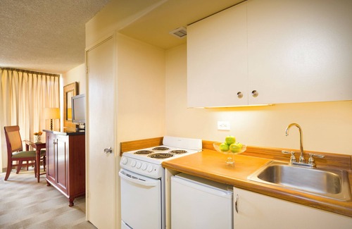 Waikiki Hotel | 2 Pet-Friendly One King with Kitchen Near Island Adventures