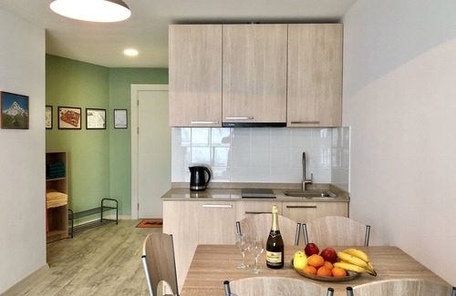 Kazbegi Apartment | 2-room apartment NFT 452 New Gudauri