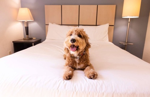 Morris Plains Hotel | 2 Spacious Suites w/Laundry and Full Kitchen, Perfect for Families