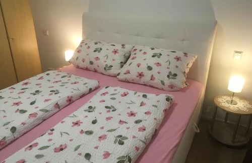 Oberharmersbach Apartment | 2 Z. FeWo barbo-Wanderparadies