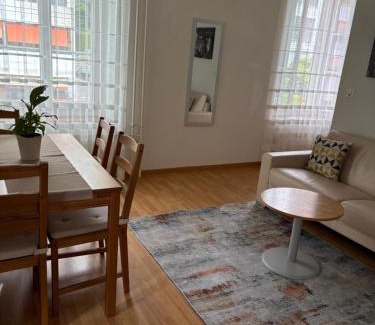 Winterthur Apartment | 2 Zimmer Appartement mit eigenem Bad und Küche