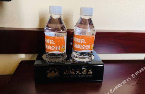 Zhijin County Hotel | 20 m² Hotel ∙ 2 guests