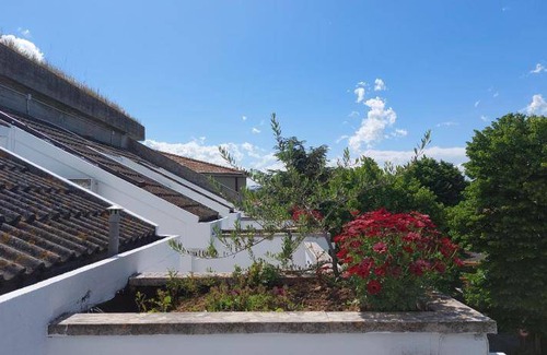 Villa Rosa Hotel | 20 m² Hotel ∙ 2 guests