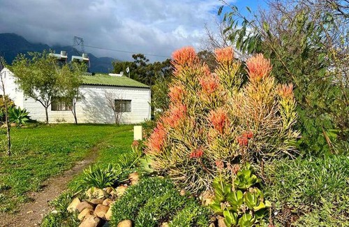 Tulbagh House | 200 m² Farmhouse ∙ 4 bedrooms ∙ 8 guests