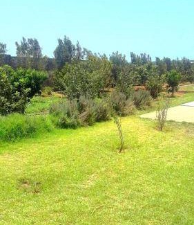 Ahrara House | 200 m² House ∙ 3 bedrooms ∙ 12 guests
