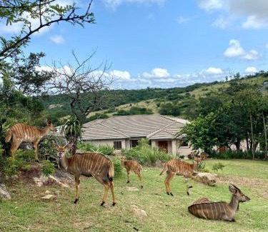 White River Apartment | 21 Wildfig- Live with Nature with Power Backup
