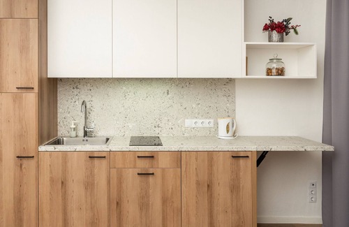 Vilnius Apartment | 214 VNO Airport apartments equipped for full life