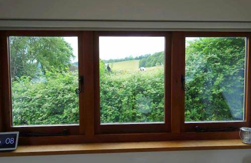 Shaftesbury Apartment | 22 m² Apartment ∙ 1 bedroom ∙ 2 guests