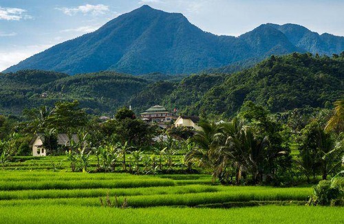Bogor Hotel | 22 m² Hotel ∙ 2 guests