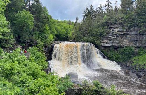 Seneca Rocks House | 22 m² House ∙ 1 bedroom ∙ 2 guests
