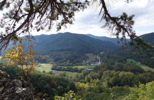 Seneca Rocks House | 22 m² House ∙ 1 bedroom ∙ 2 guests