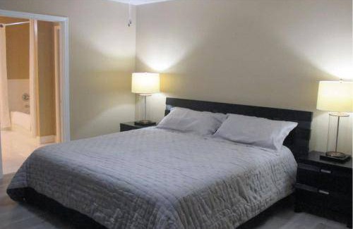 Fort Worth Apartment | 223 m² Apartment ∙ 3 bedrooms ∙ 8 guests