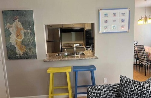 Downtown North Apartment | 225Ramona 1bdm/1bth crprt/lndry