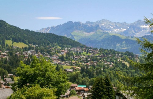 Villars-sur-Ollon Apartment | 23 m² Apartment ∙ 1 bedroom ∙ 2 guests