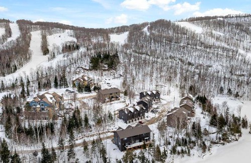 Saint-Faustin-Lac-Carre Apartment | 232 m² Apartment ∙ 4 bedrooms ∙ 12 guests