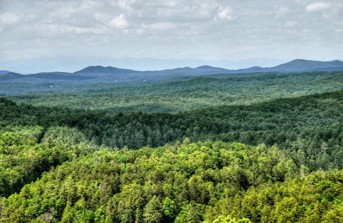 Raccoon Ridge Cabin | 234 m² Cabin ∙ 3 bedrooms ∙ 6 guests