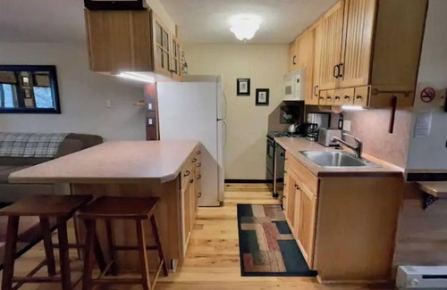 Snowshoe Condo | 24 Mountain Crest, Snowshoe, WV - Rustic Retreat