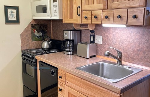 Snowshoe Condo | 24 Mountain Crest, Snowshoe, WV - Rustic Retreat
