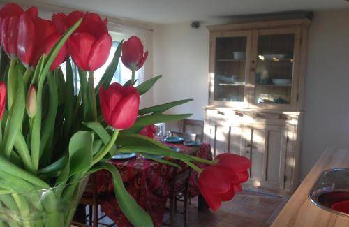 Leven Apartment | 25 m² Apartment ∙ 2 bedrooms ∙ 5 guests