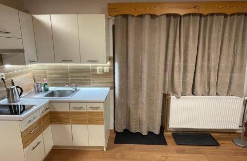 Leskovec nad Moravici Apartment | 25 m² Apartment ∙ 4 guests