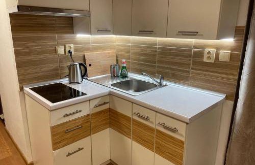 Leskovec nad Moravici Apartment | 25 m² Apartment ∙ 4 guests