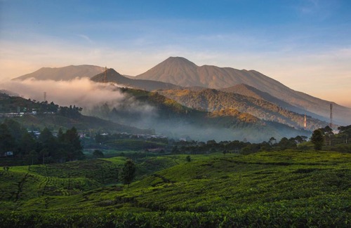 Kedungmanggu Hotel | 25 m² Hotel ∙ 3 guests