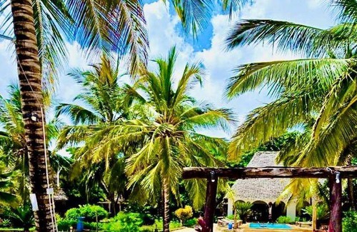 Pwani Mchangani Hotel | 25 m² Hotel ∙ 4 guests