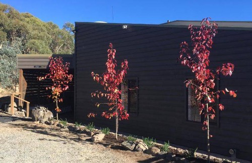 Crackenback Cabin | 25 m² Lodge ∙ 4 guests