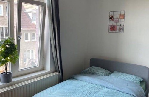 Statenkwartier Resort | 25 m² Private room ∙ 1 bedroom ∙ 1 guest