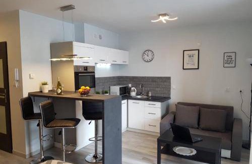 Gorzow Wielkopolski Apartment | 27 m² Apartment ∙ 1 bedroom ∙ 2 guests