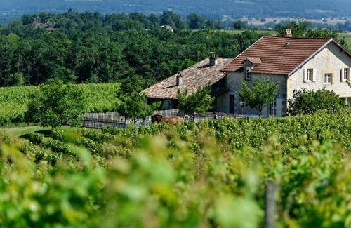 Saussignac House | 278 m² Gîte ∙ 6 bedrooms ∙ 13 guests