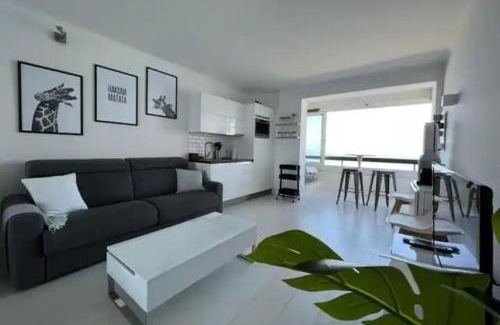 Six-Fours-les-Plages Apartment | 27m with terrace - first row sea view