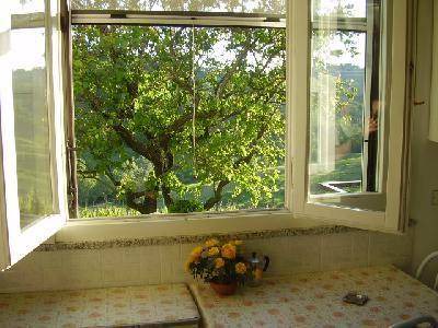 Salsomaggiore Terme Apartment | 28 m² Apartment ∙ 1 bedroom ∙ 2 guests