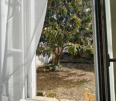 Faubourg Sud Apartment | 28 m² Apartment ∙ 1 bedroom ∙ 2 guests
