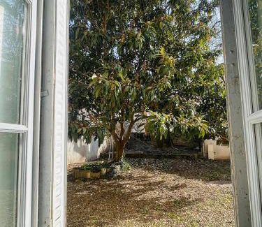 Faubourg Sud Apartment | 28 m² Apartment ∙ 1 bedroom ∙ 2 guests
