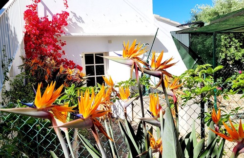 Le Brusc House | 28 m2 gîte, 400 m from the beach, swimming pool and terrace