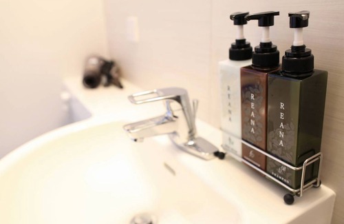 Nakashibetsu Hotel | 28 m² Hotel ∙ 1 bedroom ∙ 4 guests