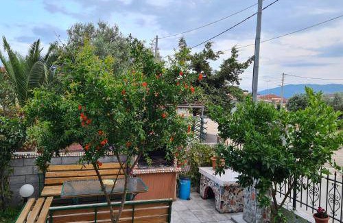 Asprovalta Hotel | 28 m² Hotel ∙ 4 guests