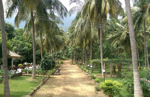 Chittur Resort | 28 m² Private room ∙ 1 bedroom ∙ 2 guests