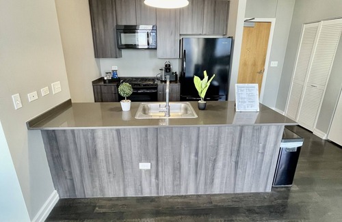 Near South Side Apartment | 2BED+2BATH Penthouse In South Loop Chicago