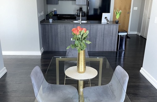 Near South Side Apartment | 2BED+2BATH Penthouse In South Loop Chicago