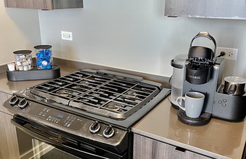 Near South Side Apartment | 2BED+2BATH Penthouse In South Loop Chicago