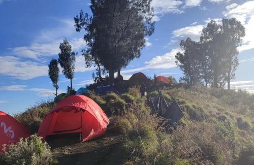 Bayan Other | 2D 1N Rinjani Summit Join Tour